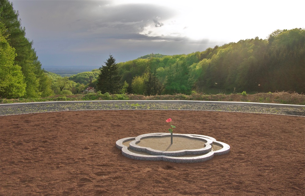 The basic form of the rose in the overall picture